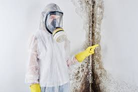 Best Residential Mold Inspection & Testing  in Pinecrest, FL